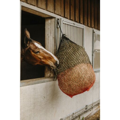 Hippotonic väiksesilmaline heinavõrk - Punane